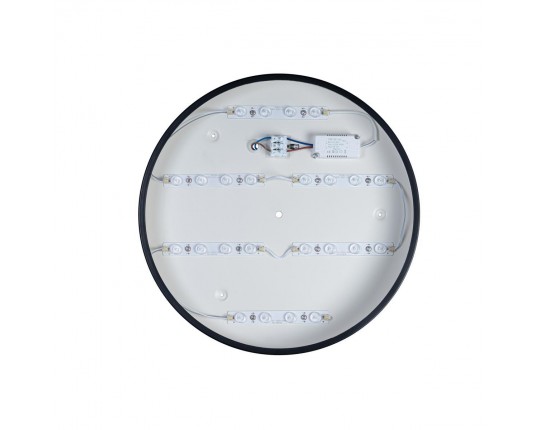 Потолочный светодиодный светильник Loft IT Axel 10002/24 black