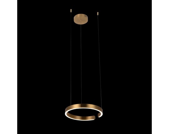 Подвесной светодиодный светильник Loft IT Ring 10013S