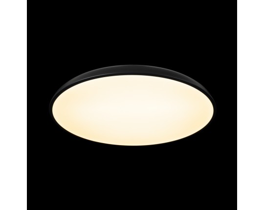 Потолочный светильник LOFT IT Dime 10371 Black