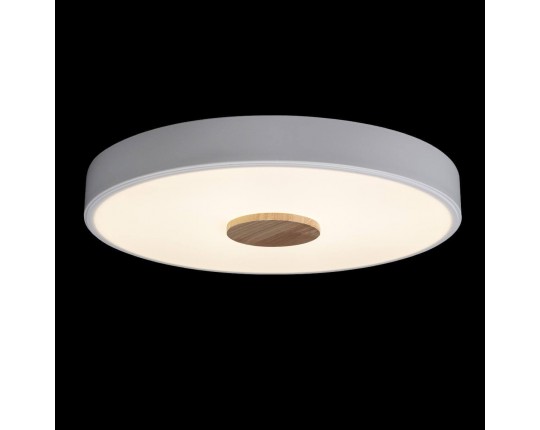 Потолочный светодиодный светильник Loft IT Axel 10003/24 white
