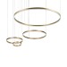 Подвесной светодиодный светильник Loft IT Ring 10017/4M