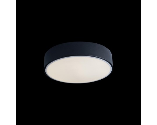 Потолочный светодиодный светильник Loft IT Axel 10002/12 black
