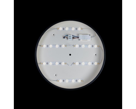 Потолочный светодиодный светильник Loft IT Axel 10002/24 black