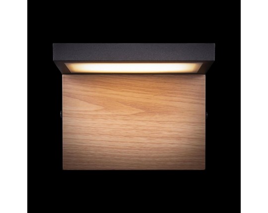 Уличный настенный светодиодный светильник Loft IT Oak 100001W