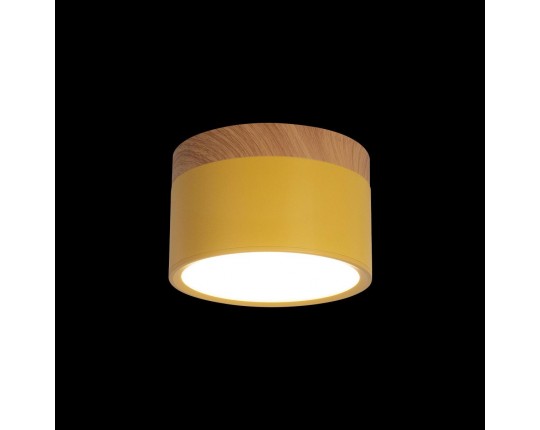 Накладной светодиодный светильник Loft IT Grape 10162 Yellow