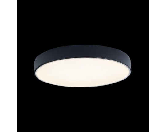 Потолочный светодиодный светильник Loft IT Axel 10002/24 black