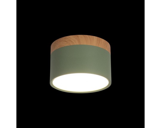 Накладной светодиодный светильник Loft IT Grape 10162 Green