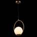 Подвесной светильник Loft IT Glob LOFT2600-A