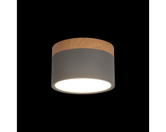 Накладной светодиодный светильник Loft IT Grape 10162 Grey