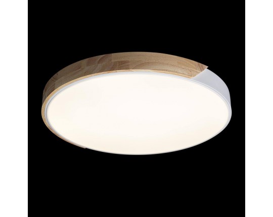 Потолочный светодиодный светильник Loft IT Axel 10004/36 white
