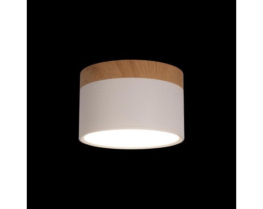 Накладной светодиодный светильник Loft IT Grape 10162 White