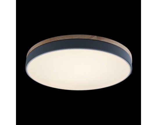 Потолочный светодиодный светильник Loft IT Axel 10001/36 grey