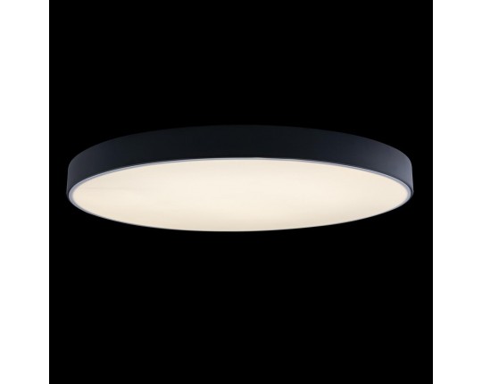 Потолочный светодиодный светильник Loft IT Axel 10002/48 black