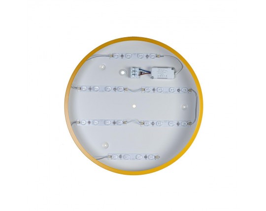Потолочный светодиодный светильник Loft IT Axel 10002/24 yellow