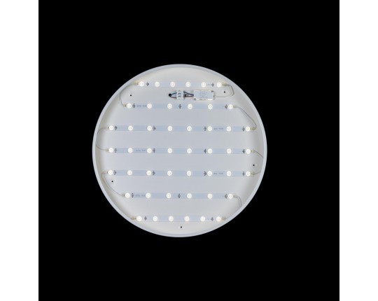 Потолочный светодиодный светильник Loft IT Axel 10002/48 white