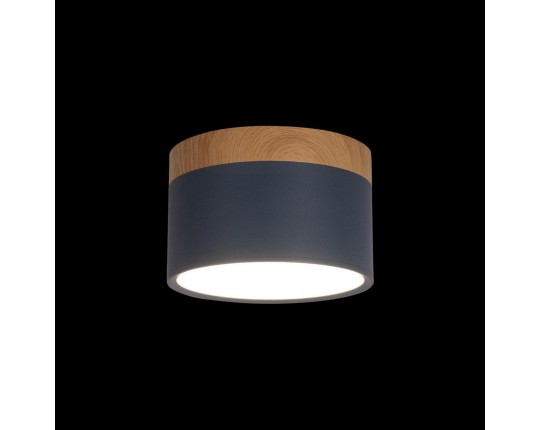 Накладной светодиодный светильник Loft IT Grape 10162 Blue