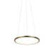 Подвесной светодиодный светильник Loft IT Ring 10014S