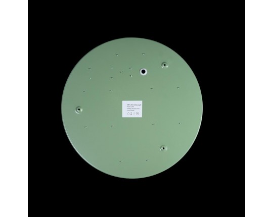 Потолочный светодиодный светильник Loft IT Axel 10003/24 green