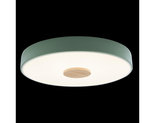 Потолочный светодиодный светильник Loft IT Axel 10003/24 green
