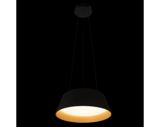Подвесной светильник LOFT IT Evans 10224P Black