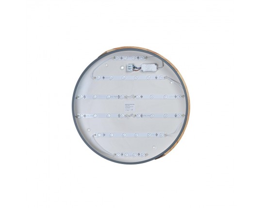 Потолочный светодиодный светильник Loft IT Axel 10004/36 grey
