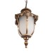 Уличный подвесной светильник Loft IT Alessano 100017P