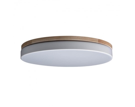 Потолочный светодиодный светильник Loft IT Axel 10001/36 white