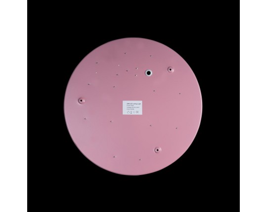 Потолочный светодиодный светильник Loft IT Axel 10002/24 pink