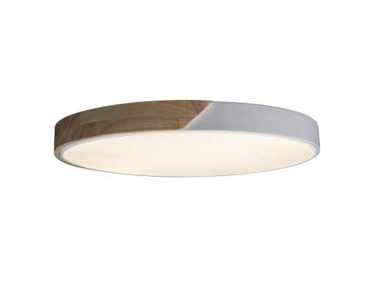 Потолочный светодиодный светильник Loft IT Axel 10004/36 white