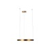 Подвесной светодиодный светильник Loft IT Ring 10013M