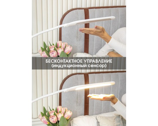 Настольная светодиодная лампа на струбцине Lucia Fleksa PRO L575 4606400056058