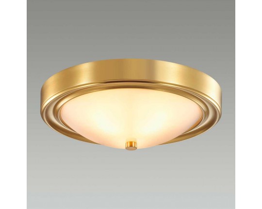 Настенно-потолочный светильник Lumion Vintage Nina 5259/2C