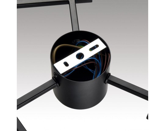 Потолочная люстра Lumion Comfi Dabra 8186/6C