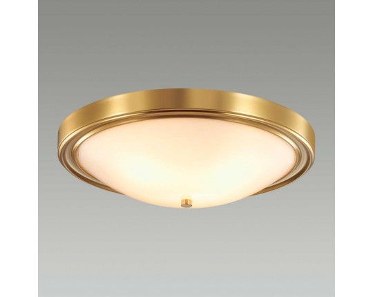 Настенно-потолочный светильник Lumion Vintage Nina 5259/4C