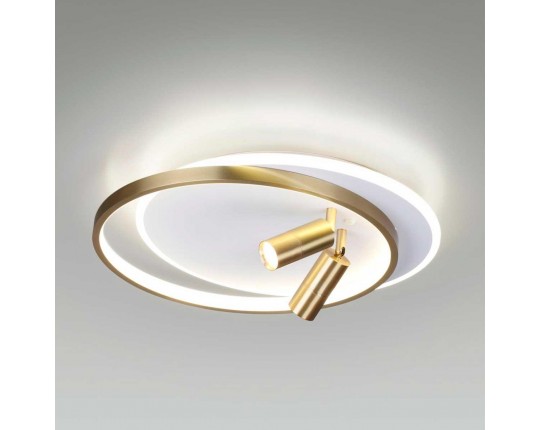 Потолочная светодиодная люстра Lumion Naoko 5603/63CL