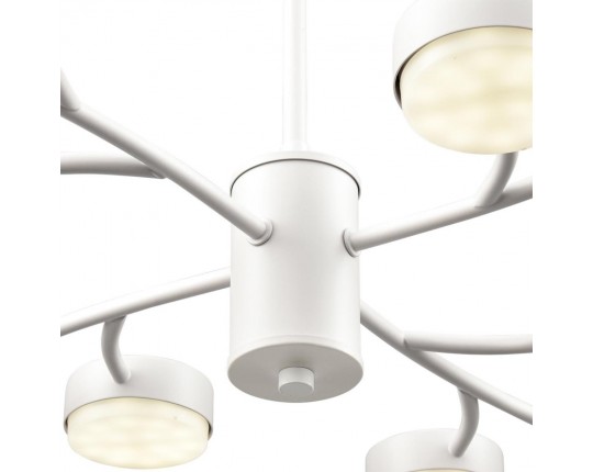 Люстра Lumion TORINA 8265/12