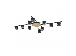 Светильник потолочный Lumion BENUA 8304/10C