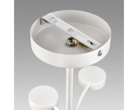 Люстра Lumion TORINA 8265/12