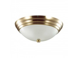 Настенно-потолочный светильник Lumion Vintage Kayla 5262/2C