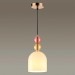 Подвесной светильник Lumion Suspentioni Gillian 4589/1A