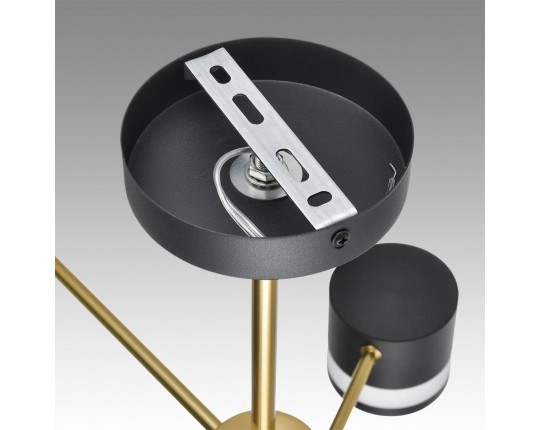 Потолочная люстра Lumion Comfi Lanika 8240/6C