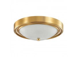 Настенно-потолочный светильник Lumion Vintage Nina 5259/2C