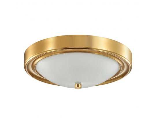 Настенно-потолочный светильник Lumion Vintage Nina 5259/2C