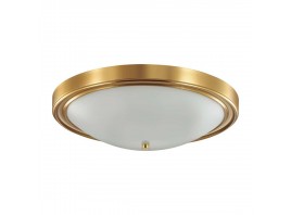 Настенно-потолочный светильник Lumion Vintage Nina 5259/4C