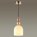 Подвесной светильник Lumion Suspentioni Gillian 4589/1A