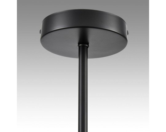 Потолочная люстра Lumion County Tidina 8238/6C