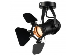 Спот Lussole Loft Expression GRLSP-9838