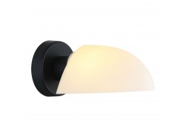 Бра Lussole LOFT Carter LSP-8862