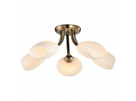 Потолочная люстра Lussole Lgo LSP-0189