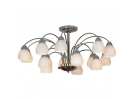 Потолочная люстра Lussole Apiro LSF-2403-15